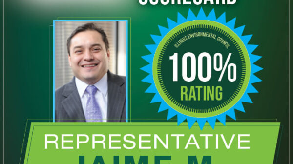 Andrade - IEC_Scorecard2024_rep2(1)